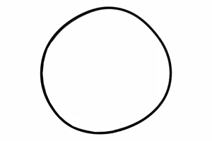 *O'RING, HOUSING; 2" POLY; JOHN BLUE